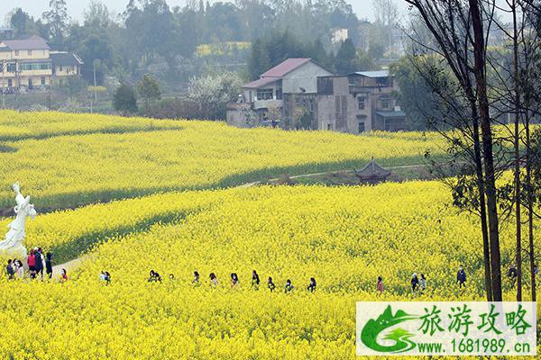 2021重庆忠县灌湖水乡菜花节攻略-时间地点及路线