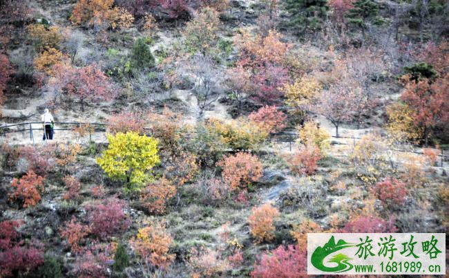 京津冀登山的好地方有哪些