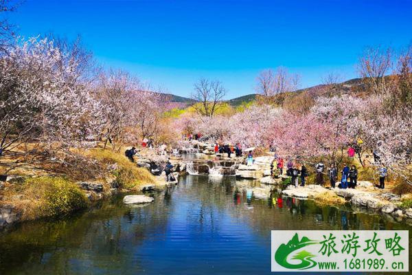 北京植物园桃花什么时候开 北京植物园桃花花期