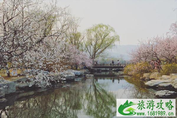 北京植物园桃花什么时候开 北京植物园桃花花期