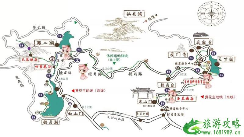 2021厦门天竺山桐花节时间地点及活动介绍