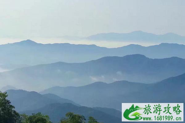 2021绍兴赏花登山胜地 绍兴登山好去处