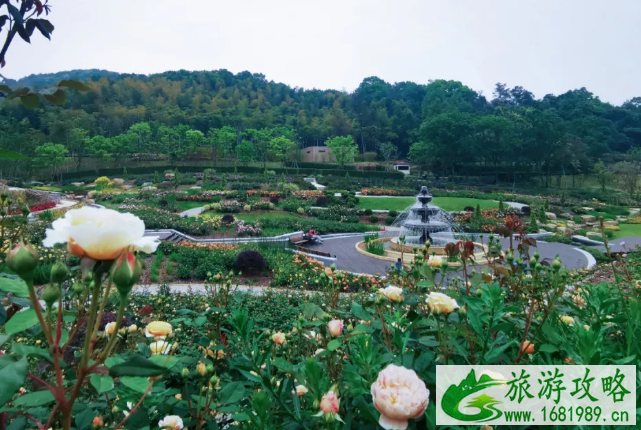 2021上渚山奇幻谷花朝节活动介绍 花朝节体验官有哪些优惠