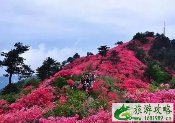 湖北春季十大赏花线路