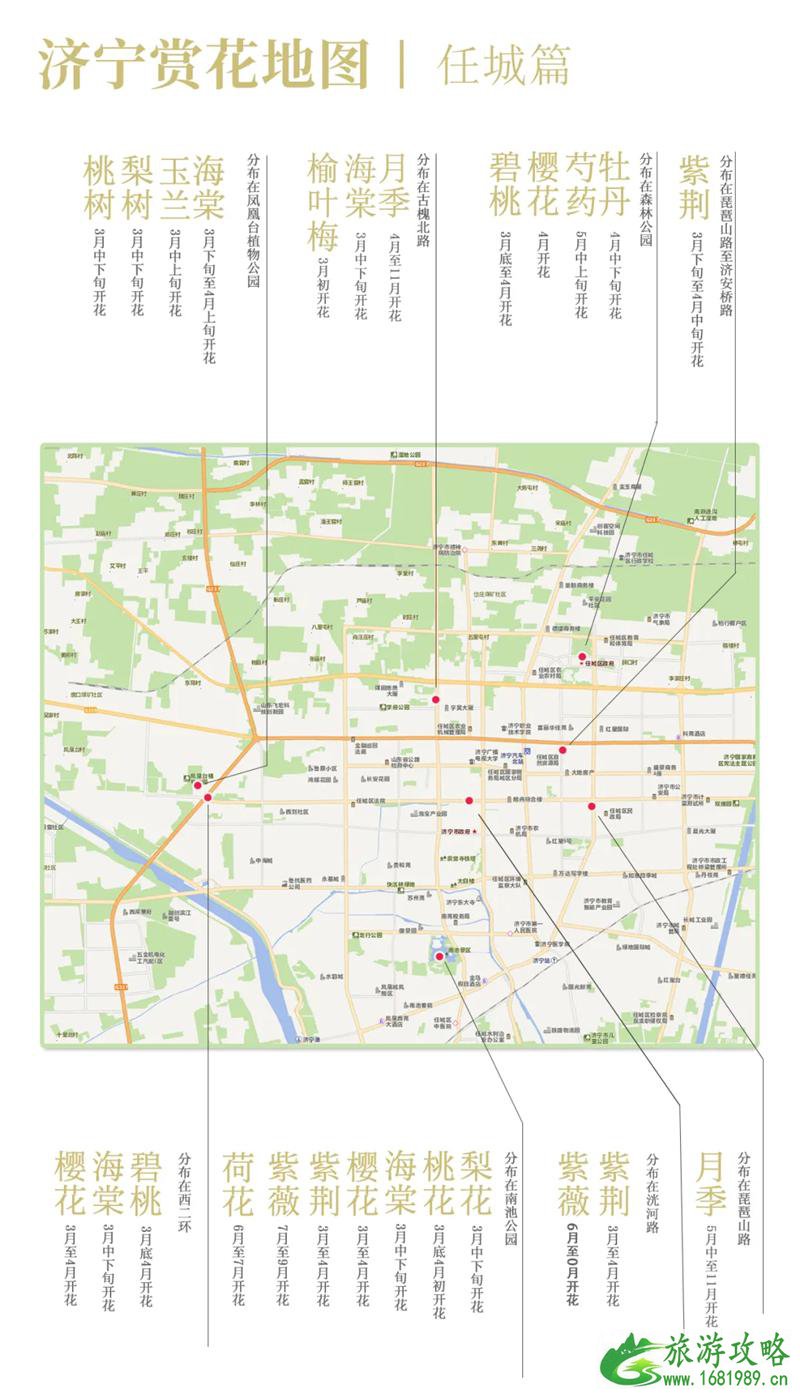 2021济宁最新赏花地图 济宁赏花去哪里