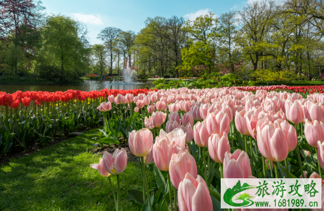 肥城桃花节是几月几日2021 泰安赏花的地方 