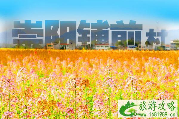 2021湖北最美油菜花海 湖北发布花海名单