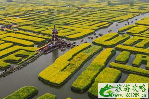 2021中国兴化千垛菜花旅游节 兴化油菜花观赏指南