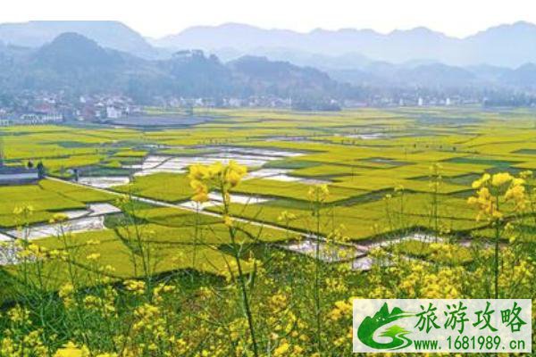 汉中油菜花节是几月份2021年 汉中油菜花节在哪个县