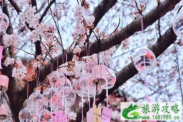 2021无锡鼋头渚樱花节开幕式时间-樱花节详情