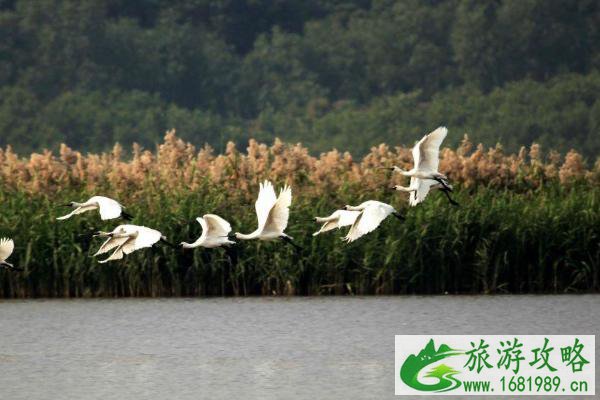 2021广州南沙湿地公园门票多少钱 广州南沙湿地公园门票优惠政策