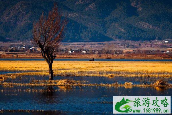  春节云南旅游要隔离吗 云南春节旅游最佳路线