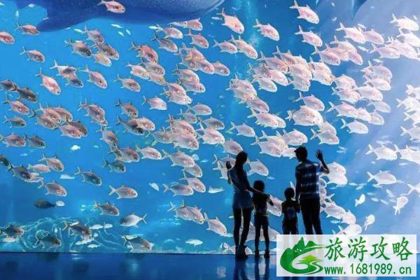 2021珠海春节去哪里玩 珠海春节好去处 2021珠海春节去哪里玩 珠海春节好去处