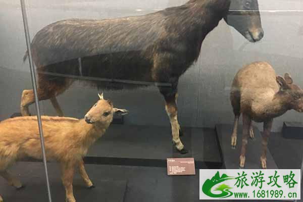 2021昆明动物博物馆春节闭馆通知