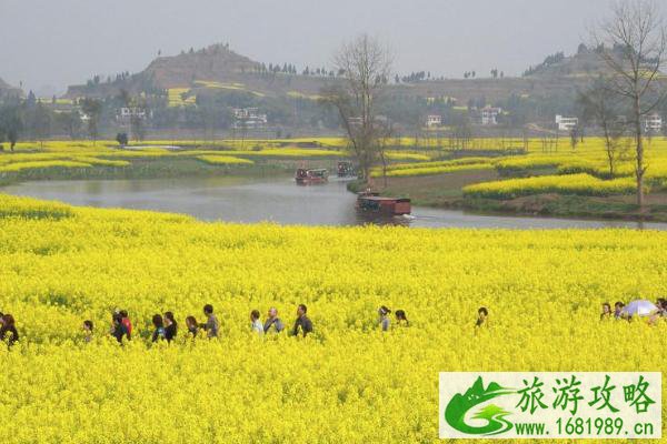 2021年潼南油菜花节攻略 潼南油菜花节时间-门票-交通