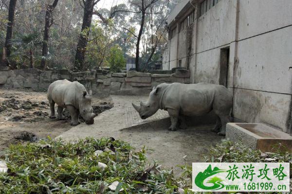 重庆旅游攻略必玩的景点 旅游景点介绍