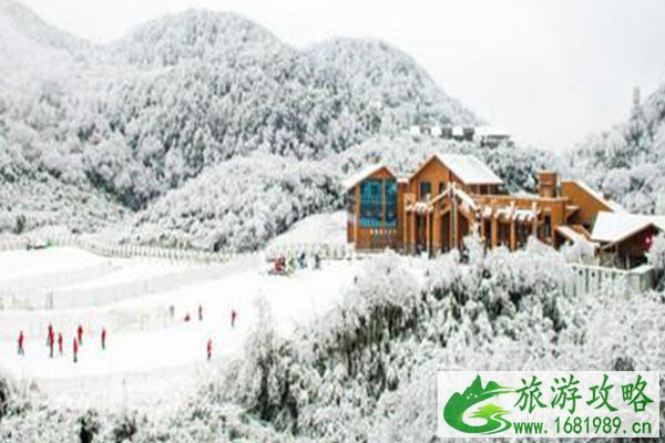 金佛山下雪了吗 金佛山最佳看雪时间