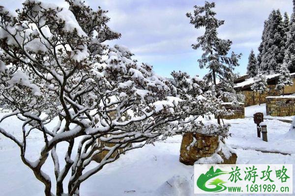 2020武隆仙女山下雪了吗 武隆仙女山游玩攻略