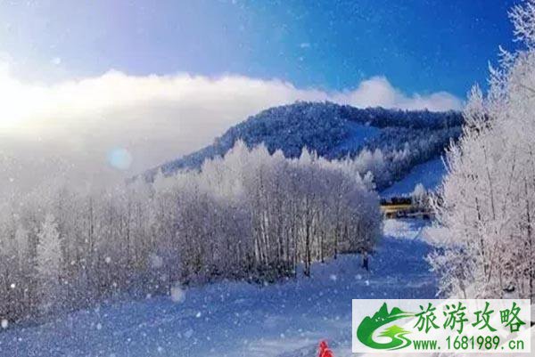 长白山国际滑雪场附近的酒店有哪些