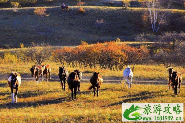 乌兰布统旅游什么时候去最好 乌兰布统有什么景点