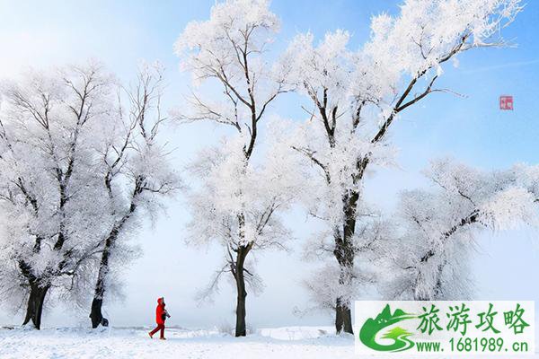 雪景最美的地方是哪 最佳观赏时间是什么时候