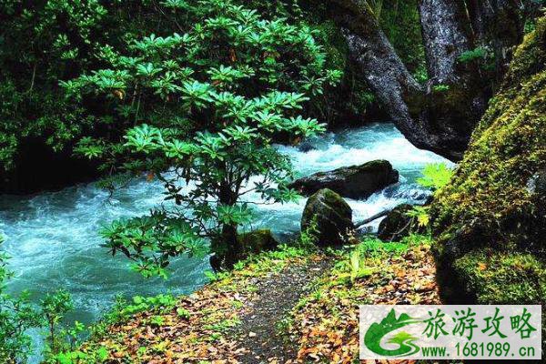 雨崩旅游攻略 最佳旅行时间以及穿衣指南