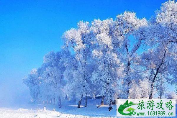 国内哪里的雪景好看 国内雪景最美的地方