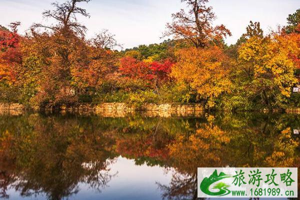 天平山红叶最佳观赏时间