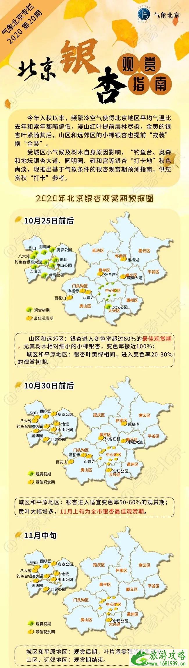 2020北京银杏叶最佳观赏时间-观赏地点推荐