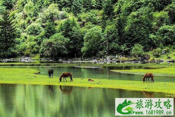 康定莲花湖好玩吗 景点介绍及路线安排