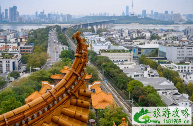 11月去哪里看银杏 国内秋景推荐