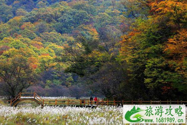 2020神农架红叶最佳观赏时间