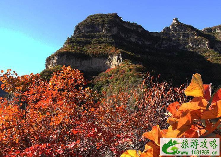 太行山红叶最佳观赏时间