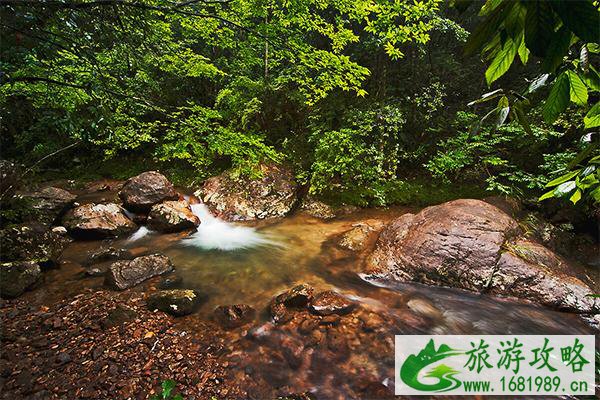 丽水遂昌好玩吗 遂昌旅游景点推荐