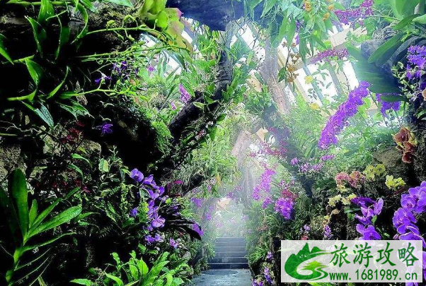 2020国庆太原植物园开放了吗 植物园预约流程及交通指南