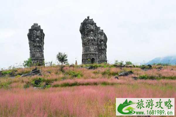 重庆粉黛子花海在哪里 附观赏攻略