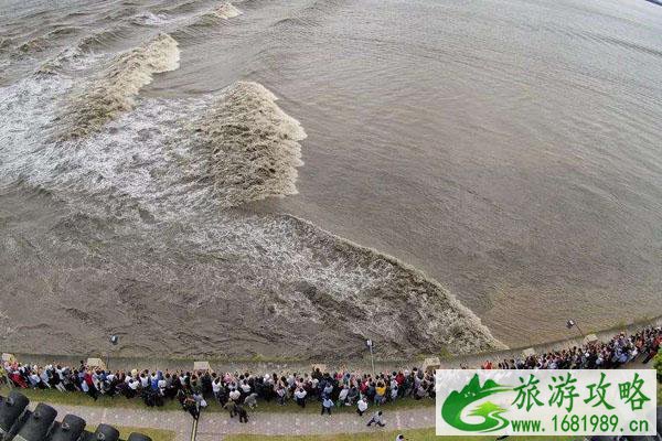 2020年钱江海宁观潮节国庆潮汛时间表 门票交通