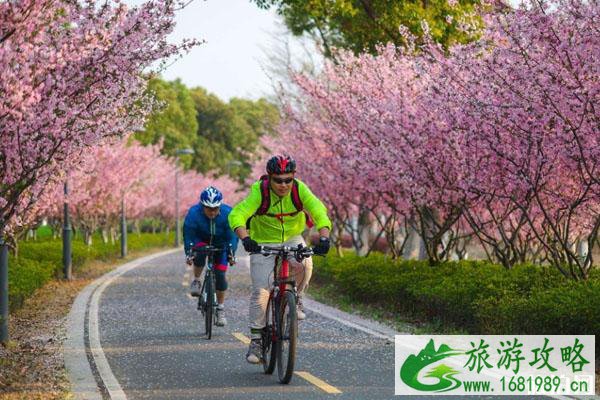 苏州秋季骑行路线推荐 有什么适合骑行的地方