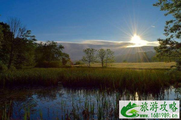 汉石桥湿地公园好玩吗 北京汉石桥湿地公园攻略