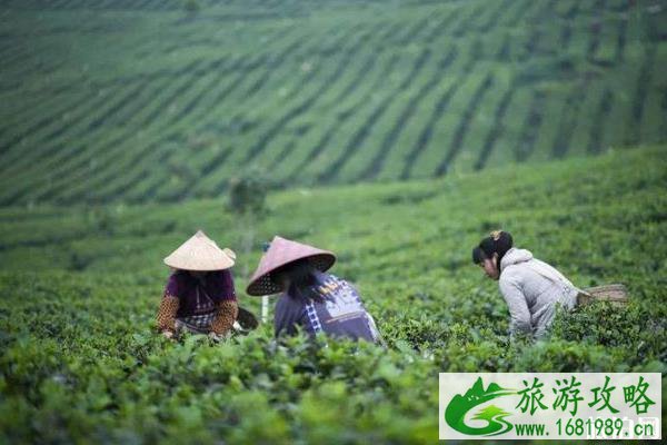 大别山彩虹瀑布风景区好玩吗 怎么样