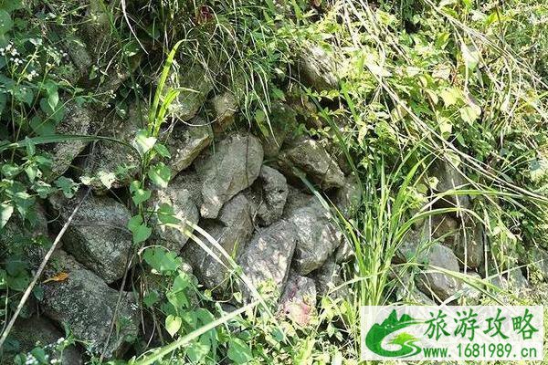 新窑土墙遗址简介 新窑土墙遗址历史介绍