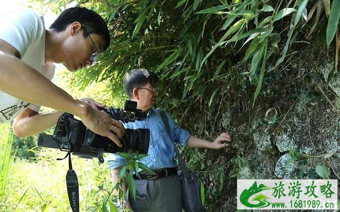 新窑土墙遗址简介 新窑土墙遗址历史介绍