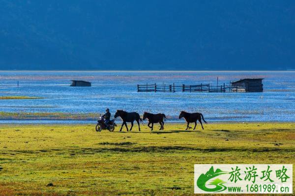 9月份去哪里旅游最好国内