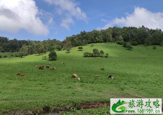 关山草原到大水川最佳路线