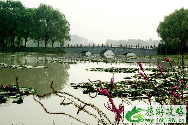 阜阳迪沟风景区在哪里 好玩吗 交通+游玩指南