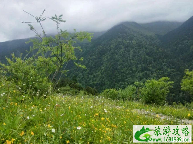 夏天四川徒步去哪里-景点推荐