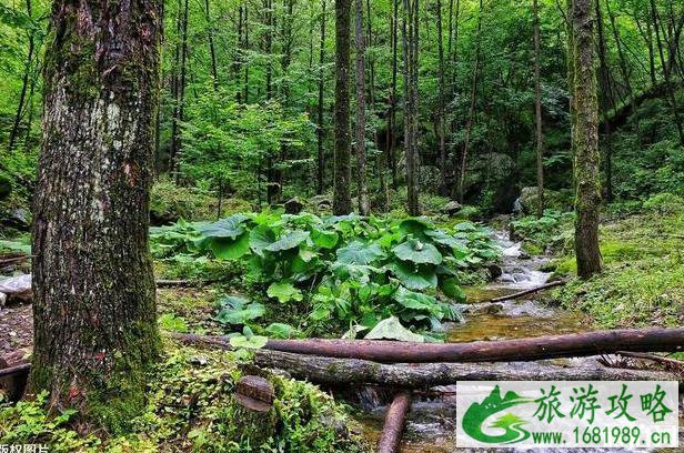 秦岭赤峪好玩吗 秦岭赤峪一日游攻略