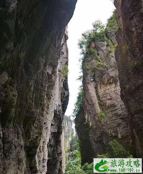 黄鹤桥峰林景区游记体验