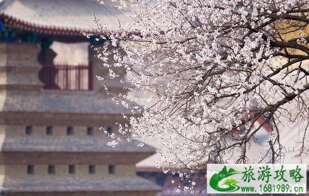 洞林寺怎么样 洞林寺好玩吗