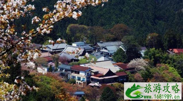 日本第一赏樱地是哪里